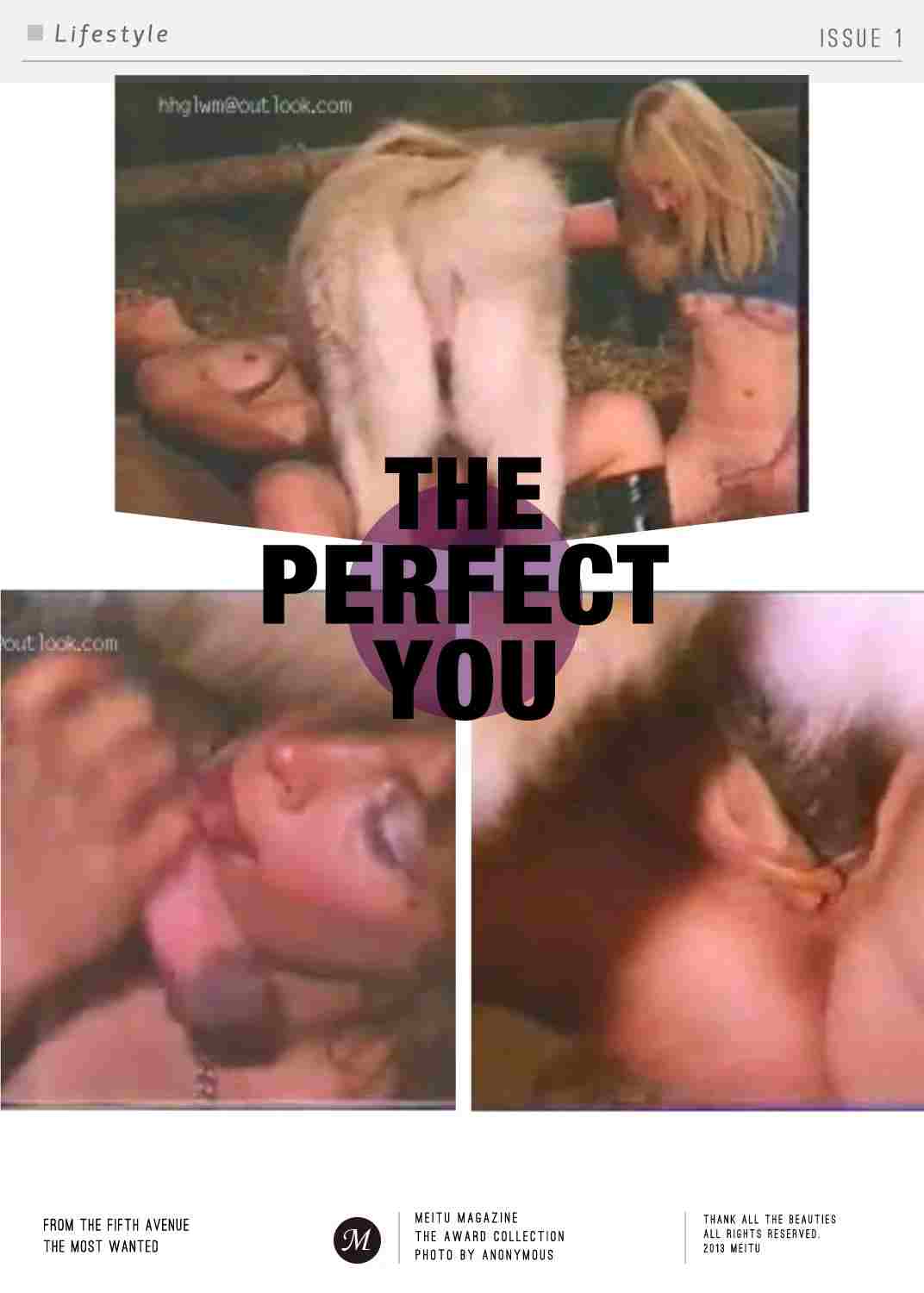 登录后显示标题