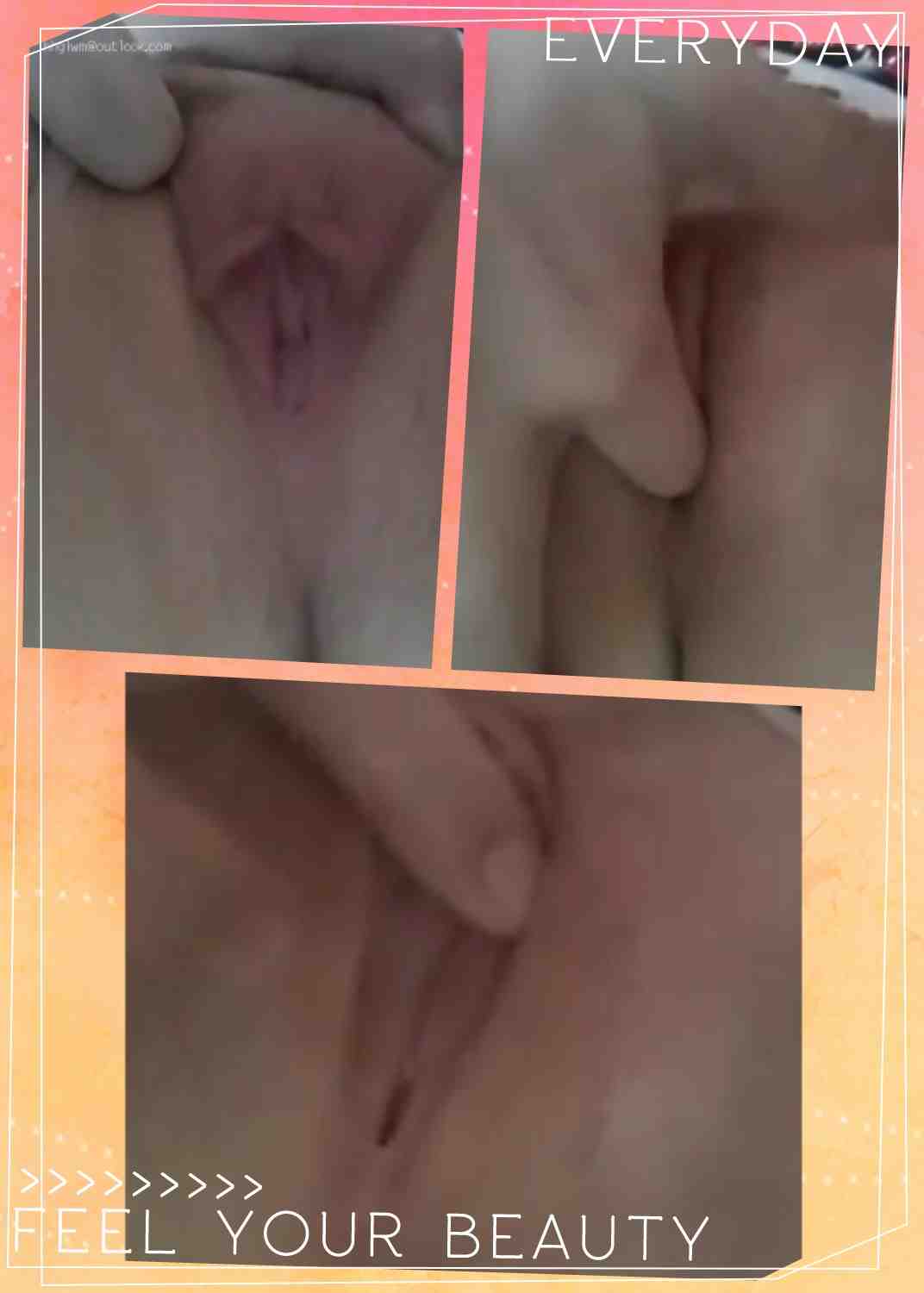 登录后显示标题