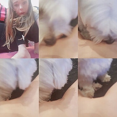 登录后显示标题