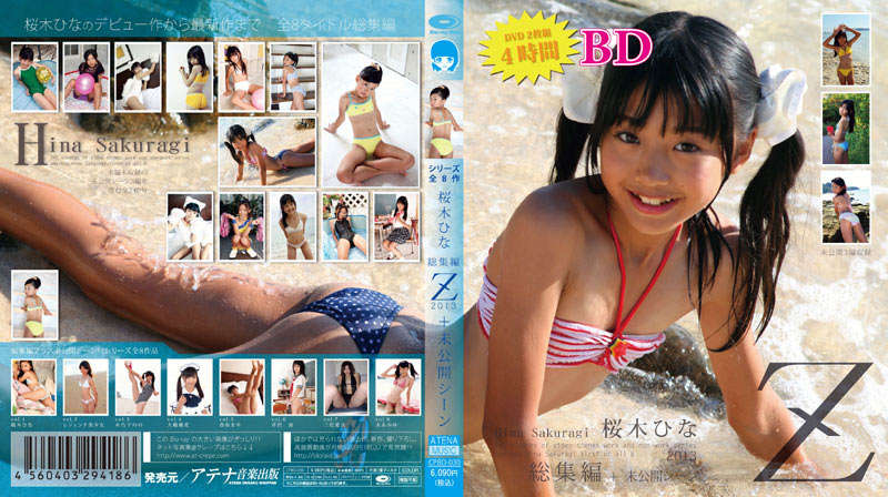 登录后显示标题