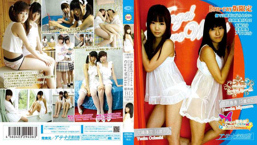 登录后显示标题