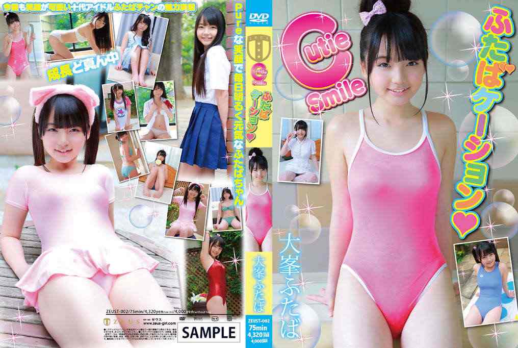 登录后显示标题