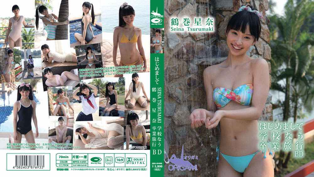 登录后显示标题