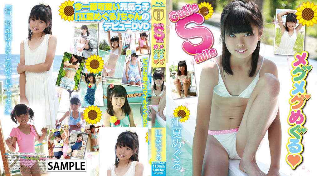 登录后显示标题