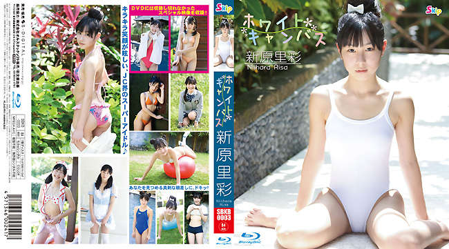 登录后显示标题