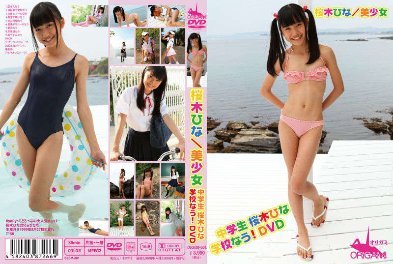 登录后显示标题