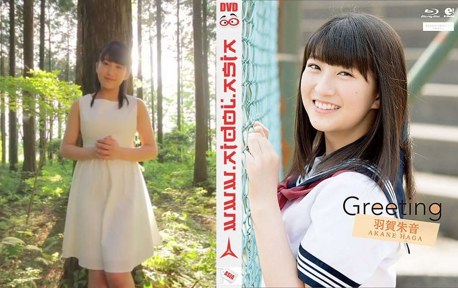 登录后显示标题