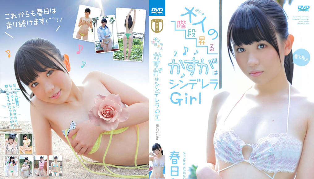 登录后显示标题