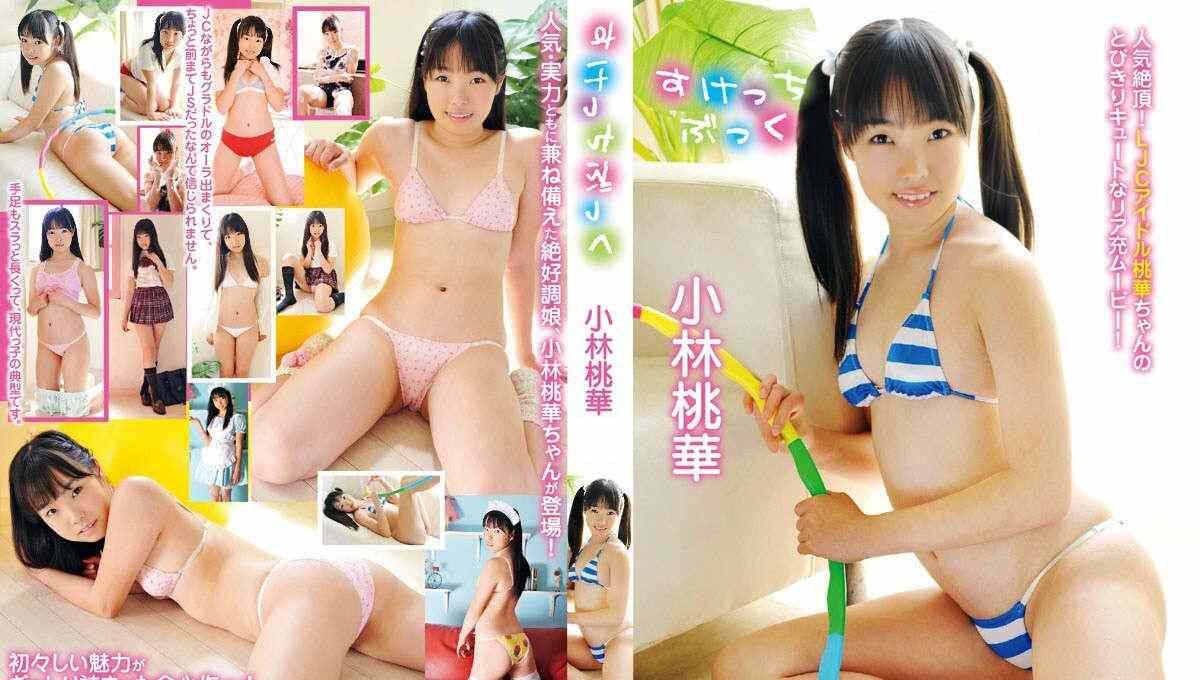 登录后显示标题