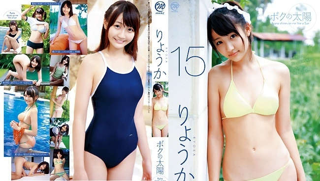 登录后显示标题