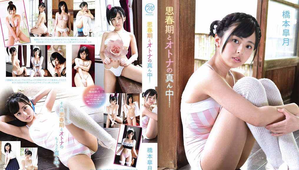 登录后显示标题