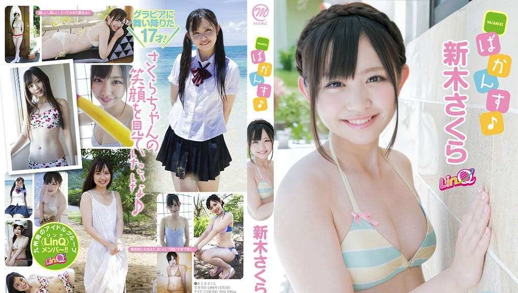 登录后显示标题