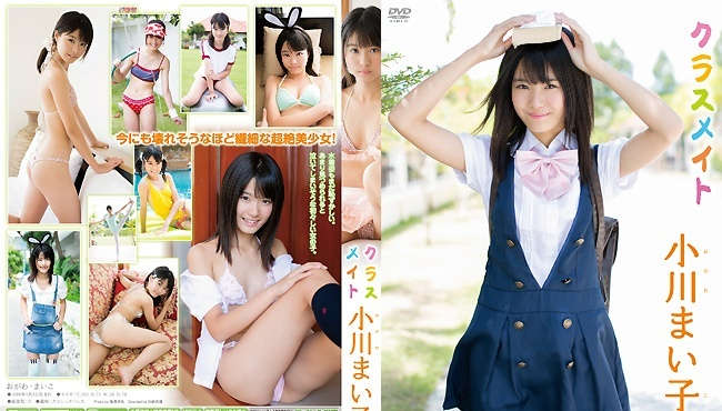 登录后显示标题