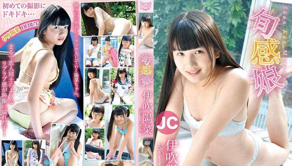 登录后显示标题