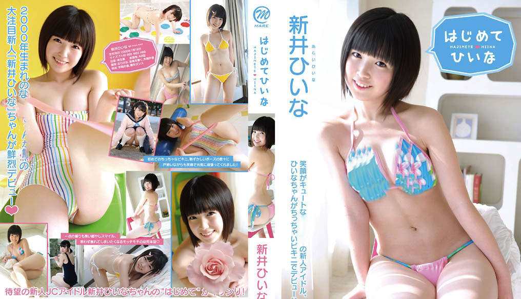 登录后显示标题