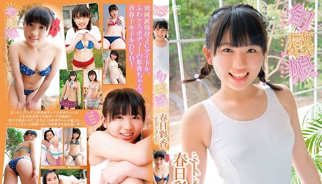 登录后显示标题