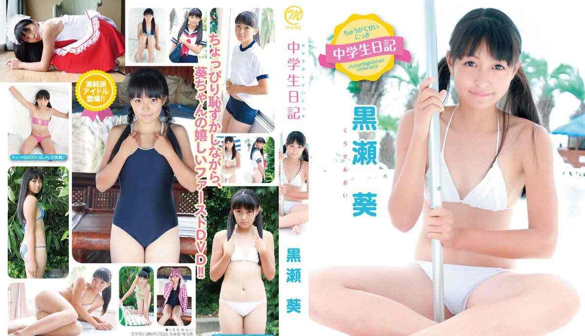 登录后显示标题