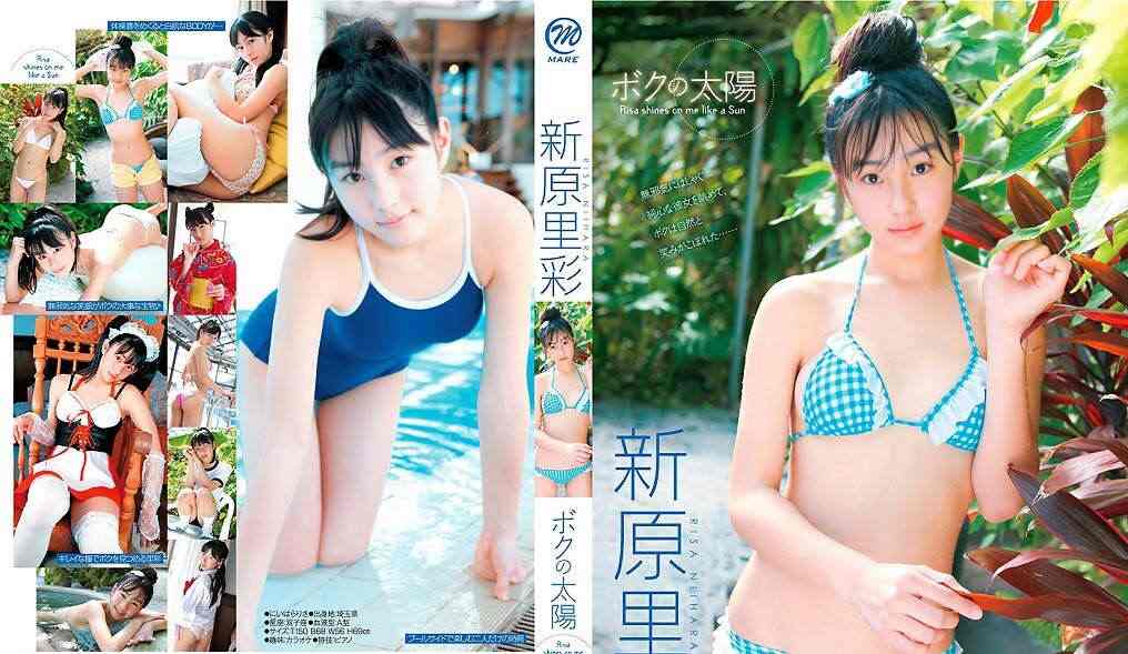 登录后显示标题