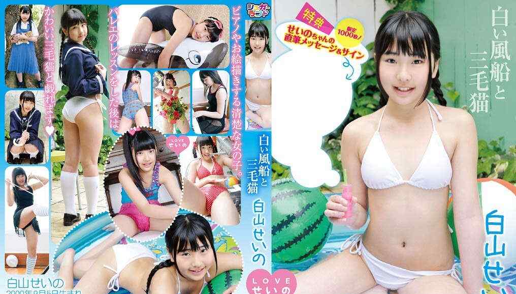 登录后显示标题