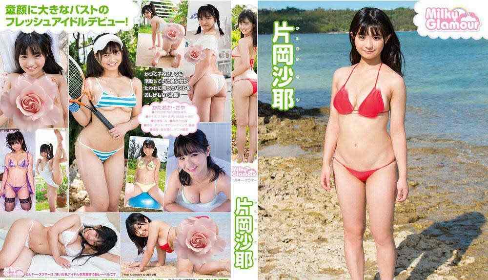 登录后显示标题