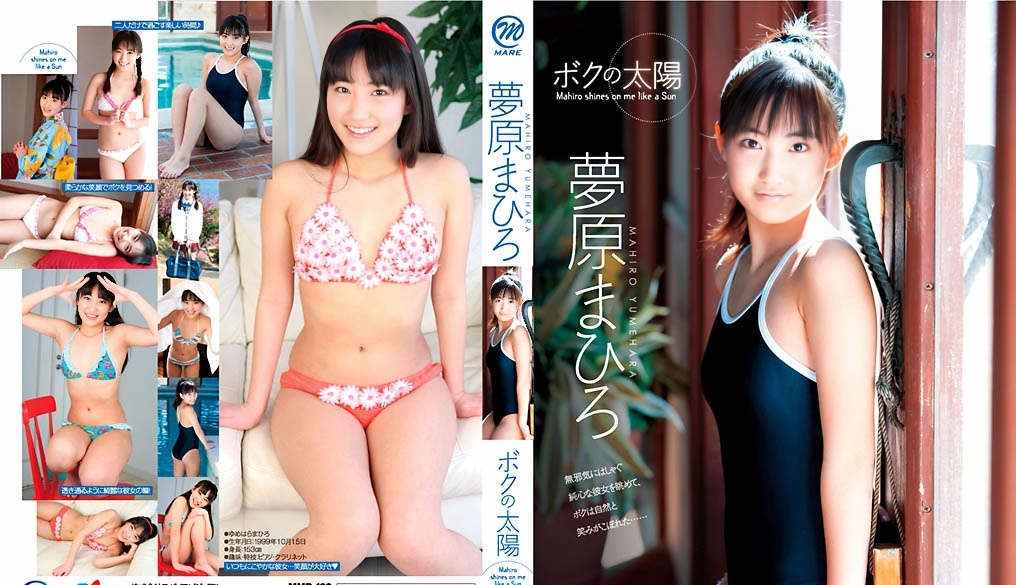 登录后显示标题