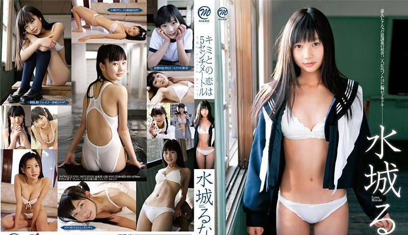 登录后显示标题