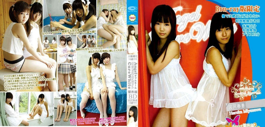 登录后显示标题