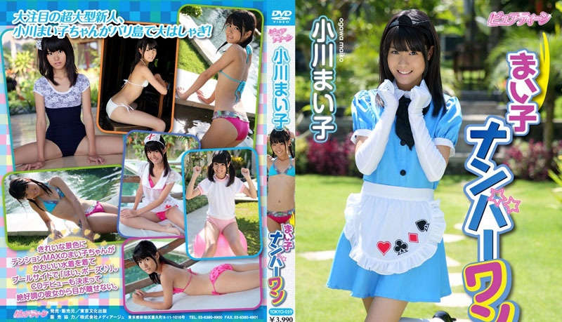 登录后显示标题