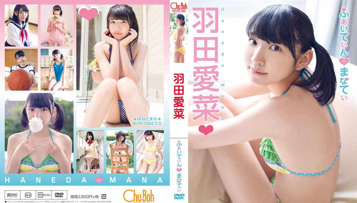 登录后显示标题