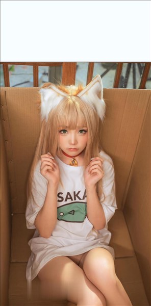 登录后显示标题（66套）