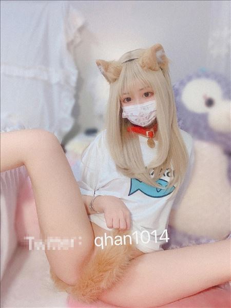 登录后显示标题（合集）