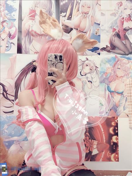 登录后显示标题（11套）