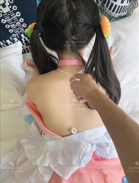 登录后显示标题（14套）