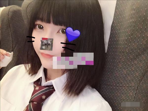 登录后显示标题（合集）