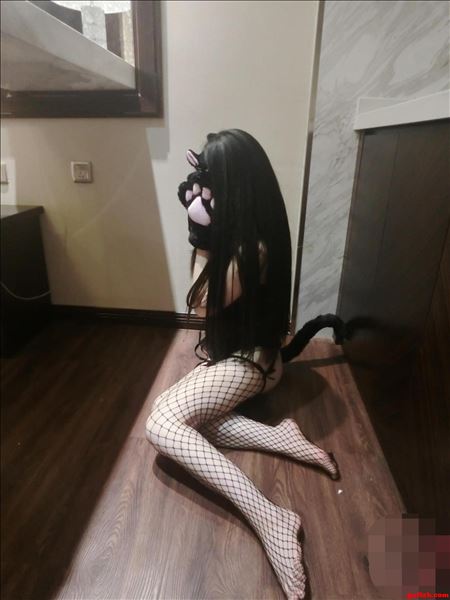 登录后显示标题（60套）