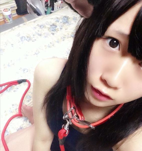 登录后显示标题（13套）