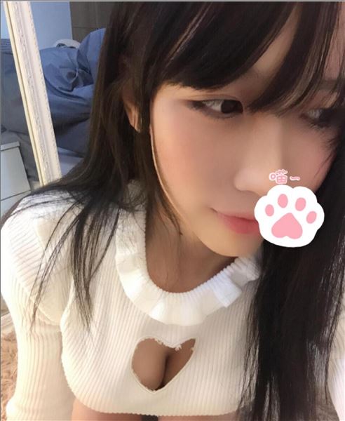 登录后显示标题（7套）