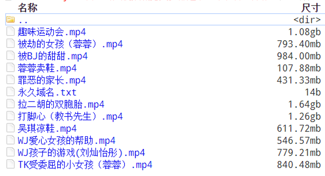 登录后显示标题（9G）